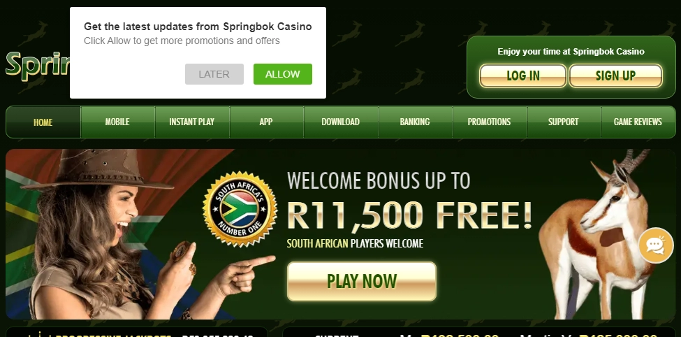 Springbok Casino
